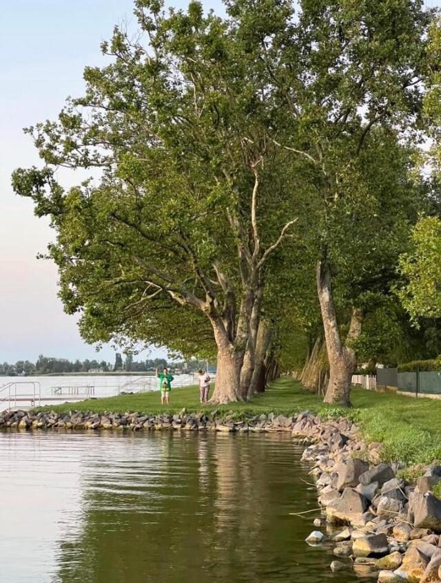 Вілла Rozsa Nyaralohaz Балатонбоглар Екстер'єр фото