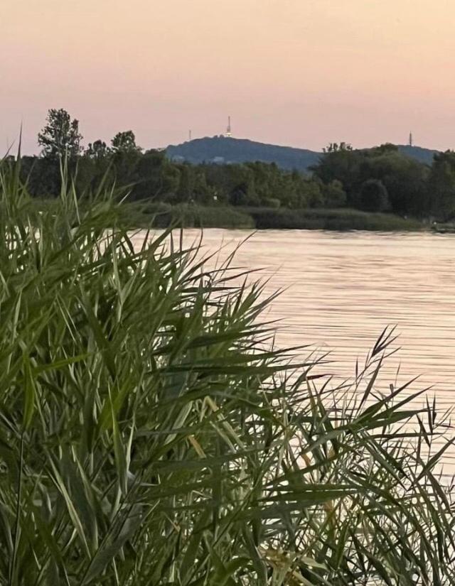 Вілла Rozsa Nyaralohaz Балатонбоглар Екстер'єр фото